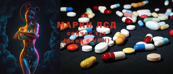 spice Абаза