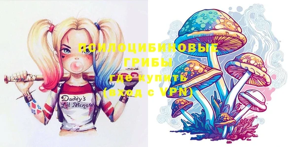 PSILOCYBIN Абинск