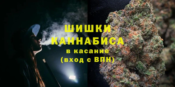 spice Абаза