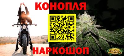 spice Волжск