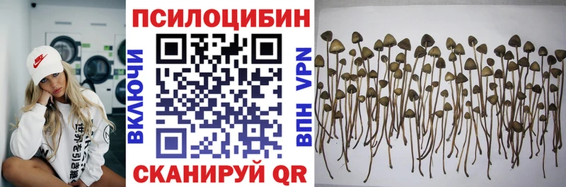 Галлюциногенные грибы прущие грибы  цена наркотик  Кострома 