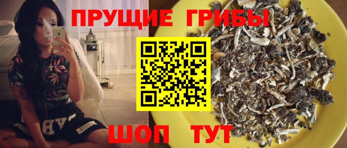 Галлюциногенные грибы Cubensis Кострома